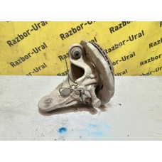 Кулак задний правый