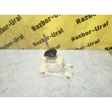 Кулиса РКПП