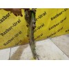 Передняя крышка ДВС бу CX-7 Mazda 2006-2012