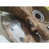 Кулак передний левый бу Sportage 2 Kia 2004 - 2010